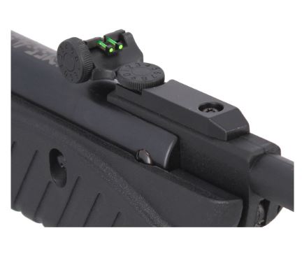 Rifle deportivo juvenil MSS-4.5 Mendoza 2025