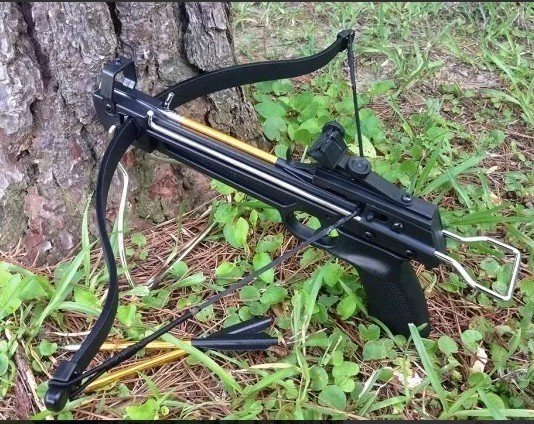 Ballesta Deportiva 80 lbs